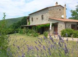 Ferienwohnung In Castellina Marittima Mit Garten