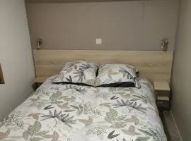Mobil home 8 pers dans Camping Siblu Les Rives de Condrieu