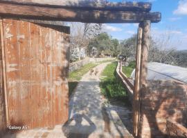 Ali dede kamp karavan bungalow, bungalow in Kusadası