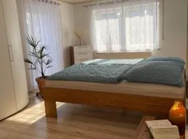 Apartment Salvete