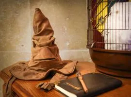 HARRY POTTER - Le Logis du petit sorcier - Gameroom- Expérience Magique à Carcassonne