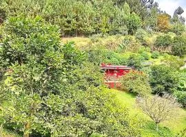 Tesorito House en las Montañas del Quindío