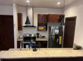 Fontana del Valle Condominio 156