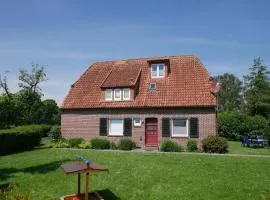 Apart Lachmöwe