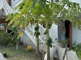 Posada ontimeview