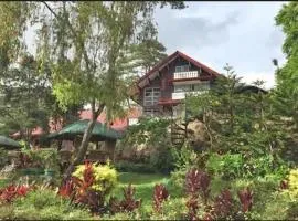 Log Cabin Hotel - Baguio