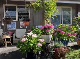 A homestay with a cottage garden