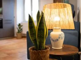 Wonderful in the historic center La Scoletta