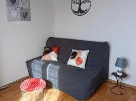 Studio aux portes de Paris, très bien desservi par les transports