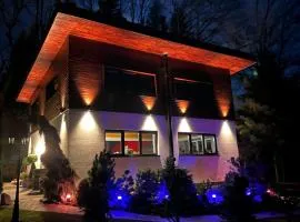 Ostravice Apartment