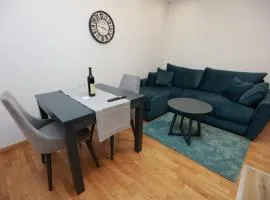 Srebrena Vila Apartman Elena 4