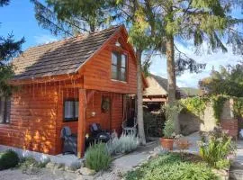 Faház a fenyők alatt - Borostyánkút Wellness Home II Bakonybél