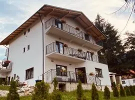 Casa dintre Brazi