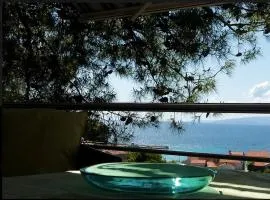 Olive-Sunset Haven in Zuljana