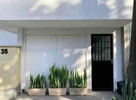 Ap da Serra em Barão de Javary