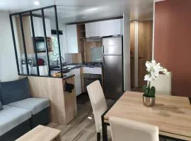 Jolie Mobil Home climatisé 58