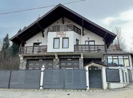 Borşa में, होटल Pensiunea Joreanu
