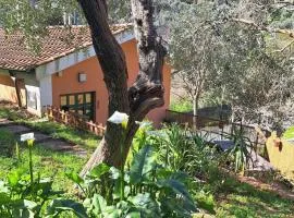 Casa Mar'Cellina - Tenuta Calano