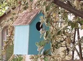 Studio Trocadero 2p coté jardin