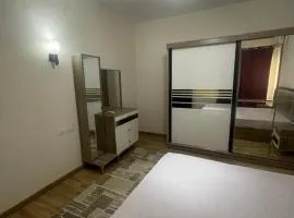 The address compound zayed