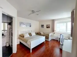 TheLakeHouse Do you prefer a double 25m2 room with a private bathroom OR a full 70m2 Appartment with a triple room bathroom livingroom kitchen and terrasse