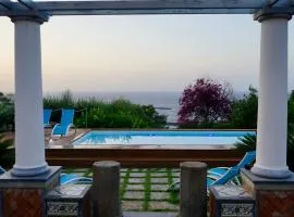Villa Amalu Capri Piscina e Giardino