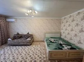 Apartment on Akhmetova 10