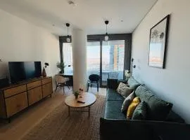 Modern apartment overlooking the skyline & Danube