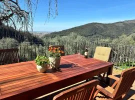 Villa in Tuscany with Pool and Olive Grove