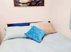Nemo's Place