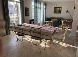 Charmant appartement lumineux et spacieux au centre de Royan - FR-1-738-44