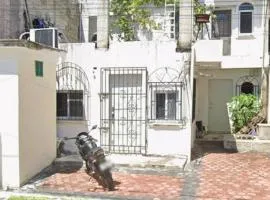 Panda House Céntrico Tranquilo