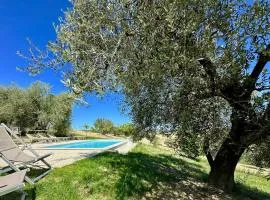 Room in Holiday house - Historic house with swimming pool, barbecue, gym in Senigallia - The Girasole