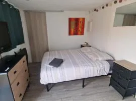 Studio Cerf, quartier marais, terrasse rez de chaussé, jardin accessible, matelas confortable