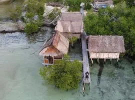 Sea Whip Raja Ampat