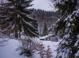 4 Personen mit Sauna F2H2