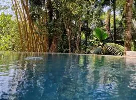 A Peace In Paradise