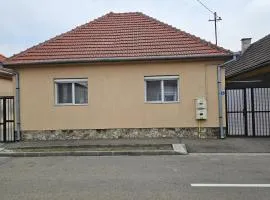 Casa Dacian 1