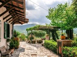 Fattoria Francesco