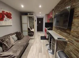 Studio les 2 Alpes au Village 1800m-Commerces et télésiège à 50m-Retour ski au pied