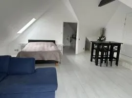 Hörnlägenhet 1 rum, kokvrå, dusch, tvättmaskin, Med balkong