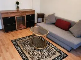 HBS BESTPREIS- Leistung, Nähe City, mit Parkplatz, sie wählen 1 oder 2 große Zimmer für 1- 5 Personen große Küche, Bad Einfach und gut
