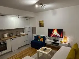 Modern Rajcikk Apartment nearby downtown & Vardar river