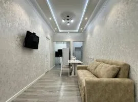 Luxury apartment on the Boulevard