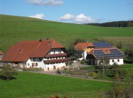 Stockerhof, hotel in Elzach