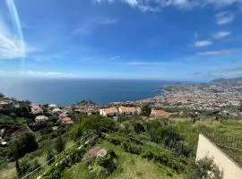 Palmeira`s Village