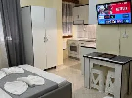 Sota apartment large