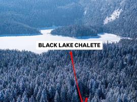 Black Lake Chalet