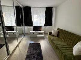 Apartament Brazdă