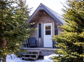 The Zzzz Moose Camping Cabins, kemp v destinaci Birch Plain